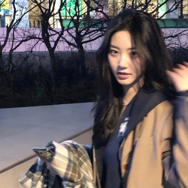 鸟儿们的奇幻冒险