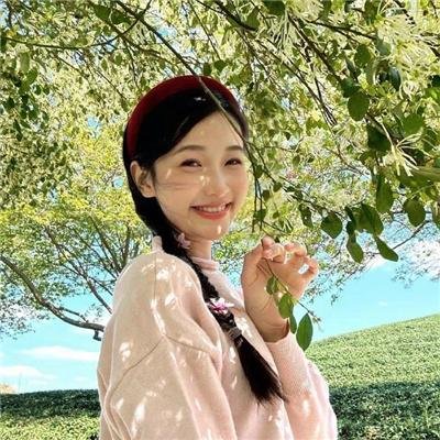 粉红火鹤